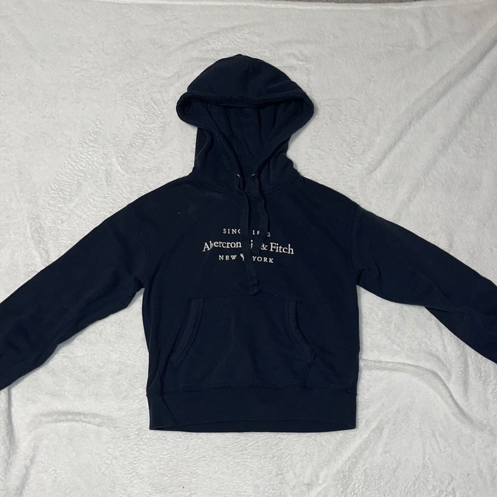 Abercrombie and Fitch hooded sweatshirt